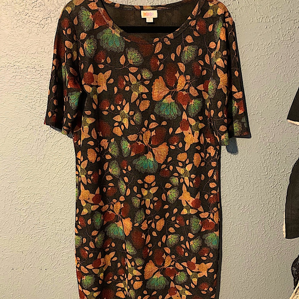 Lularoe Julia dress
